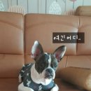 아토와토토