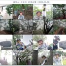 석성산 초당고앞 이미지