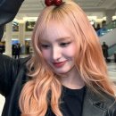 코랄베이지 네이버블로그