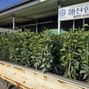 해찬농장 네이버블로그