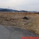 백암보건진료소 이미지