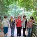 제186회 걷기 /절두산성지,양화진공원/2026.7.7.화요일 이미지