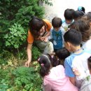 신상계병설유치원 이미지