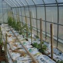 둥지민박민박 이미지