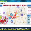 더로얄아파트 이미지