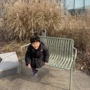 롯데영등포스노우피크 | 의왕 롯데 프리미엄 아울렛 주말 방문 후기 + 티니핑 크리스마스 트리 포토존