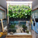 고경초등학교 이미지