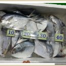 11650-16-16-4 이미지