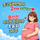 꼬마뽀끼 | 초고도비만엄마 2번째 자연임신 출산전 마지막 피검사와 초음파 제왕산모 출산준비물(36주)