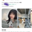 헤이페리 이미지