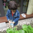 나비랑 한옥 이미지