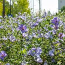 위례성대로 이미지