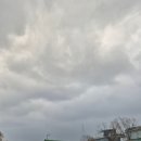 하프 | 2026 고구려마라톤 하프코스 참가 후기