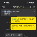 보끌레 네이버블로그