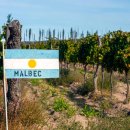 신대륙타이어 | 말벡 와인 이야기