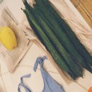 같이갈래? 이미지