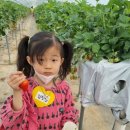 은별농장 이미지