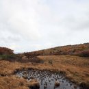 학술 자료 한국 풍치록(소요 1-124) 대암산(大巖山) 용늪 정격 시조/반산 한상철 이미지