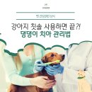 만박동물병원 이미지