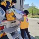 중동세탁 이미지