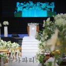 슈가파티 이미지