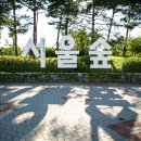 서울숲 티스토리