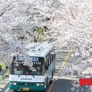 제일원떡방앗간 이미지