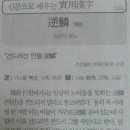 신문으로 배우는 실용한자(역린) 이미지