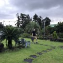 폴리민박 이미지