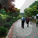 마니산 (강화) --- 한국의 주요 명산 코스 / 여행 / 관광 / 산행 / 등산 / 가볼만한곳 / 아름다운산 이미지