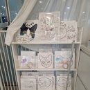 701아를고양이카페(cat in the art) | 하남고양이카페에서 고양이와 함께하는 하남 원데이 클래스 701아를고양이카페 cat in the art