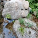 아차돌 이미지