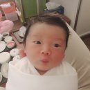 당리뽑기방 | 부산 산후조리원 비교 19곳 +부산 타병원 출산 조리원