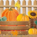 가을이네 이미지