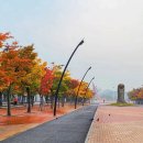 은행나무 배트민턴장 이미지