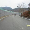 315오산 이미지