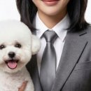 미용의정서애견미용학원 네이버블로그