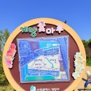 계양(근린)공원(계양공원관리) | 인천 계양구 꽃마루 반려견 운동장 솔직 후기! 주차부터 준비물까지 총정리