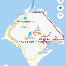가파도 청보리 축제 ㅣ 놀거리 아이스크림 미숫가루 핫도그 자전거대여 배 예약 배 시간