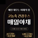 매일야채 이미지