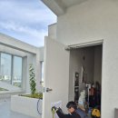 멋진강아지 | 강아지 펫도어 시공 설치, 꼭 주의할 업체 비용과 후기(ft.고양이)