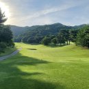 (주)캐슬렉스서울 네이버블로그