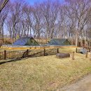 유니온파크 이미지