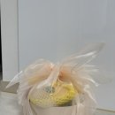 상수리 화덕피자 한솔점
