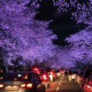 THE SPRING 이미지