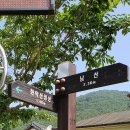 청도군-20 이미지