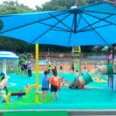 삼척시민체육관 실내체육관 | 광명 물놀이장 시민체육관 꿀팁 샤워장 주차 준비물 후기