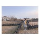 배중열 | [제주도 태교여행]3월 제주도 여행-제주 포도호텔 디럭스 양실(조식) 솔직 후기