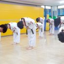 세종태권도 이미지