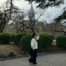 2박3일 도쿄여행 1일차 | 히미와리 스시, 올시즌스 커피, 신주쿠공원, 시부야, 토리키조쿠